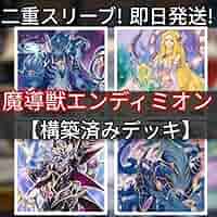 遊戯王 創聖魔導王エンディミオン 本格構築済み デッキ 魔導獣キングジャッカル 遊戯王 創聖魔導王エンディミオン 本格構築済み デッキ 魔導獣